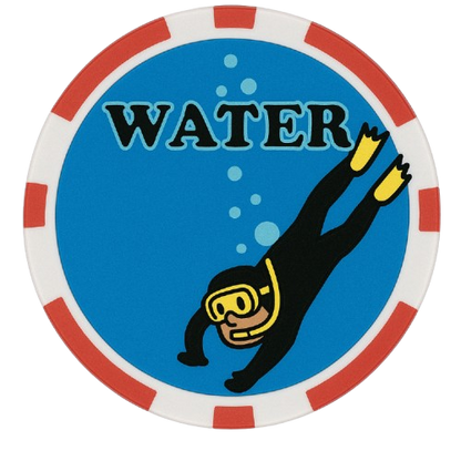 Chip n Win Water Chip